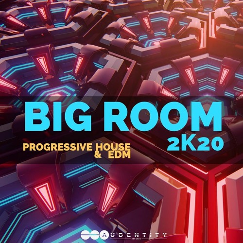 BigRoom花鼓组+贝斯 By Big Room 2k20 WAV